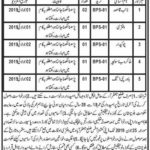 Deputy Commissioner Jaffarabad Jobs 2019 For 6+ Support Staff
