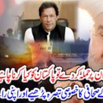 Read the special commentary of Zulfiqar's journalist and give your opinion
