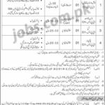 Ministry of NHSRC Pakistan Jobs 2019 for Various Staff Posts (Download OTS Form)