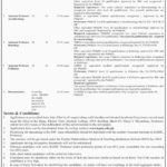 Khyber Girls Medical College Peshawar Jobs 2019 for Demonstrators & Teaching Faculty
