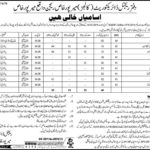College Education Department Sindh (Mirpur Khas) Jobs 2019 for 60+ Support Staff