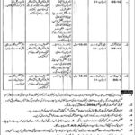 Forest Department Punjab Jobs 2019 for Stenographer, Junior Clerk and Naib Qasid (Multan Circle)