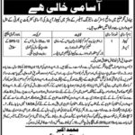 Bahawalnagar District Monitoring Officer Jobs 2019 for Computer Operator