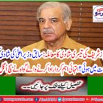 Shahbaz Sharif's third wedding case