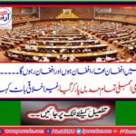 The member National Assembly crossed all limits, said the unusual thing