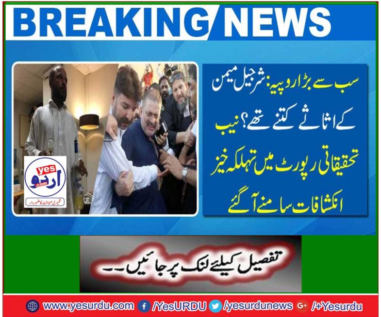 The NAB investigative report emerged in detail