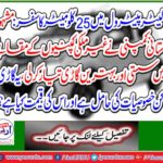 The famous Pakistani company has developed cheap and finest cars compared to foreign companies