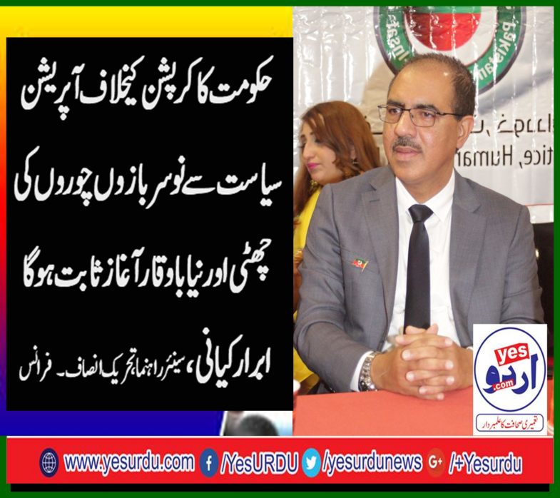 Abrar Kayani, senior, Leader, PTI, France