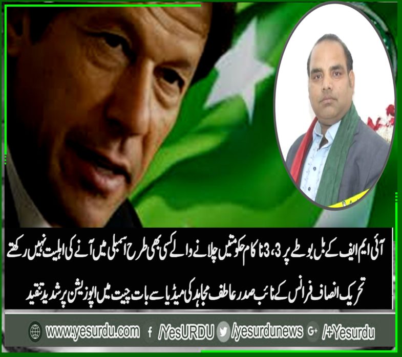 Atif Mughal, vice, president, PTI, France