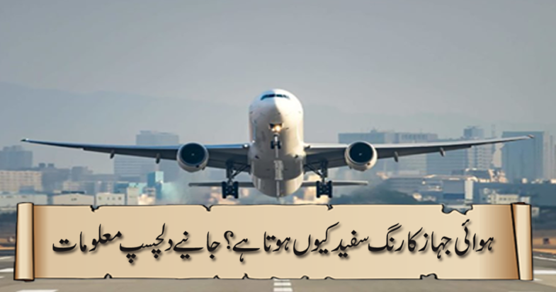 Why is the plane color white? Get interesting info