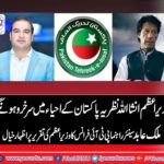 Malik Abid, SENIOR, LEADER, PTI, FRANCE