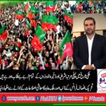 Malik Abid, vice, President, PTI, France