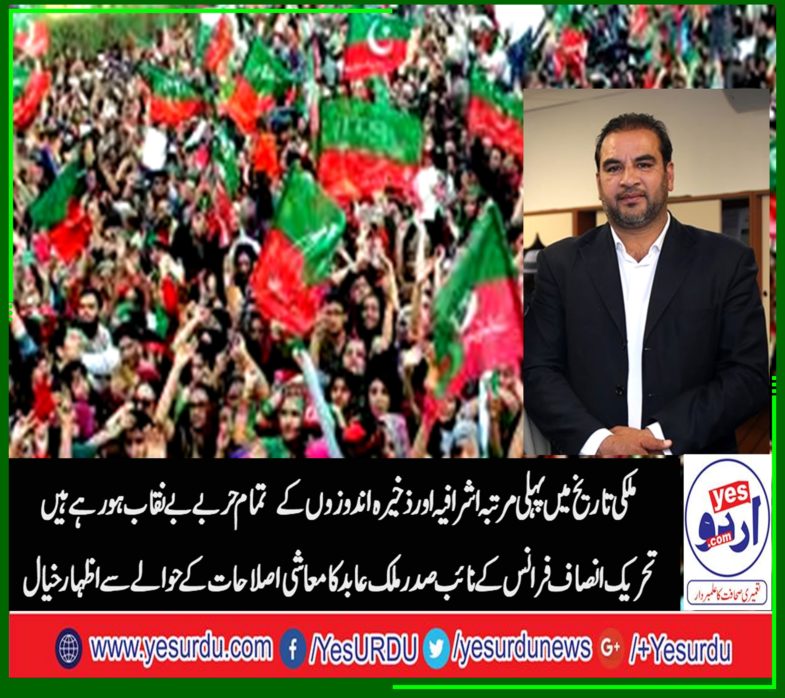 Malik Abid, vice, President, PTI, France