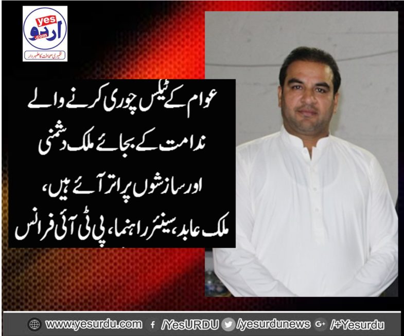 Malik Abid, Senior, Leader, PTI, France