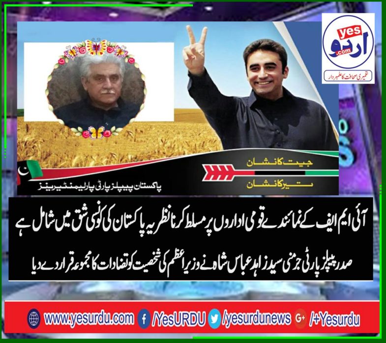 Zahid Abbas Shah, president, ppp,, Germany