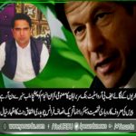 ch ashfaq jutt, reknown, businessman, and, senior, leader, PTI, France