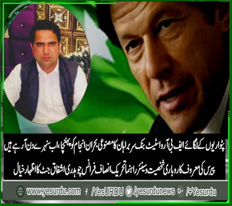 ch ashfaq jutt, reknown, businessman, and, senior, leader, PTI, France