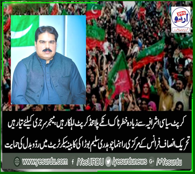 ch saleem borra, senior, leader, PTI, France