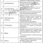 MARI Petroleum Pakistan Government Jobs 2019 for IT, Admin, Finance, DAE, FSc, Office & Support Staff