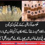 a, student, gave, wonderful, suggestion, to, stop, corruption, in, Pakistan