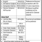 Pakistan Rangers Education System Jobs 2019 for Admin, Clerk, IT, Teaching & Other Staff