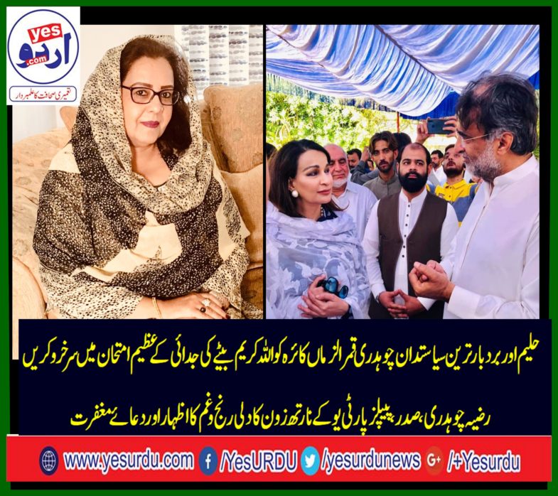 razia ch, president, ppp, uk, north zone