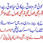 Disclosure of famous lady journalist watered the opposition to water