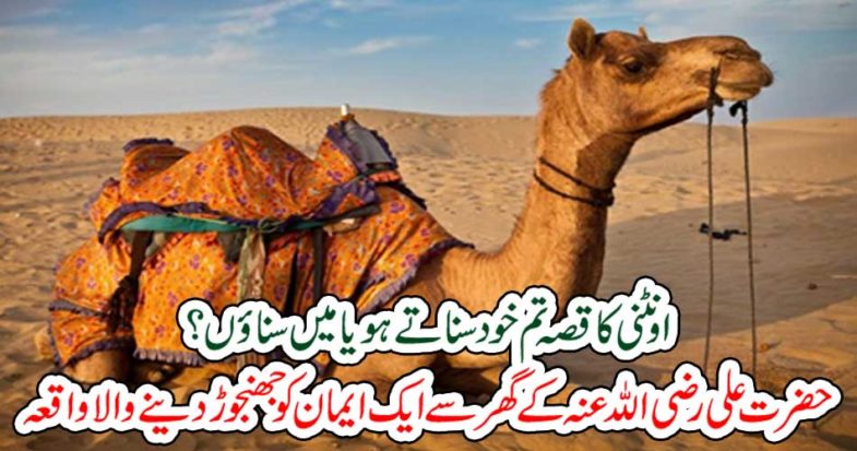 Do you hear the camel's story or hear me?