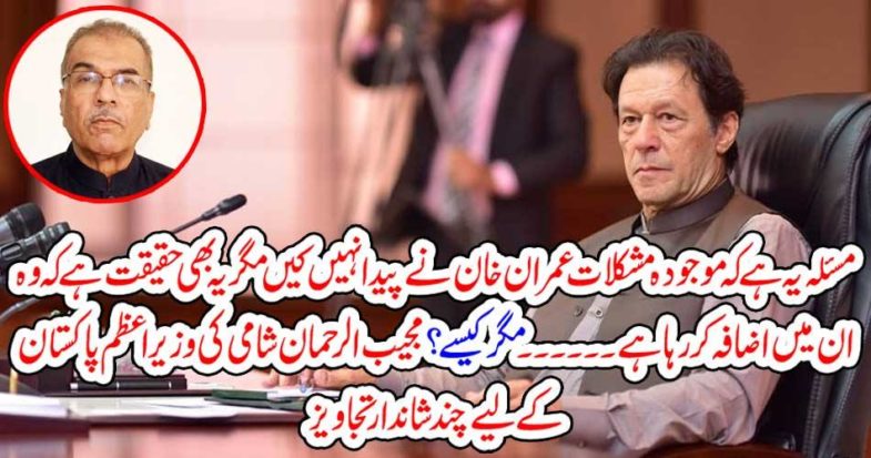 Mujeeb-ur-Rehman Shami's Prime Minister's Some Excellent Tips