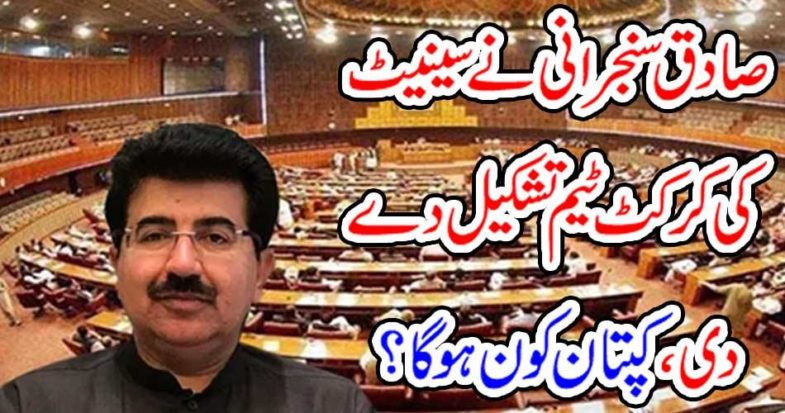 Sadiq Sanjani made Senate cricket team, who will be captain