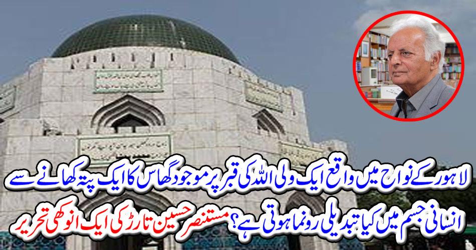 Anonymous Written by Mustafa Nasir