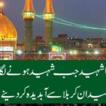 When the ninja martyr of Karbala was martyred then from the sky .... Aerospace incident from field crabble