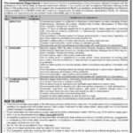 Investment Department Sindh Jobs 2019 For 4+ Director, Managers and Communication Officer Posts