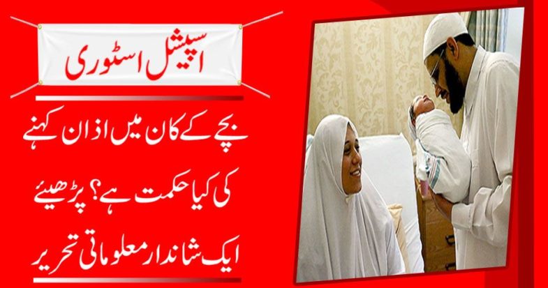 Read a great informative writing