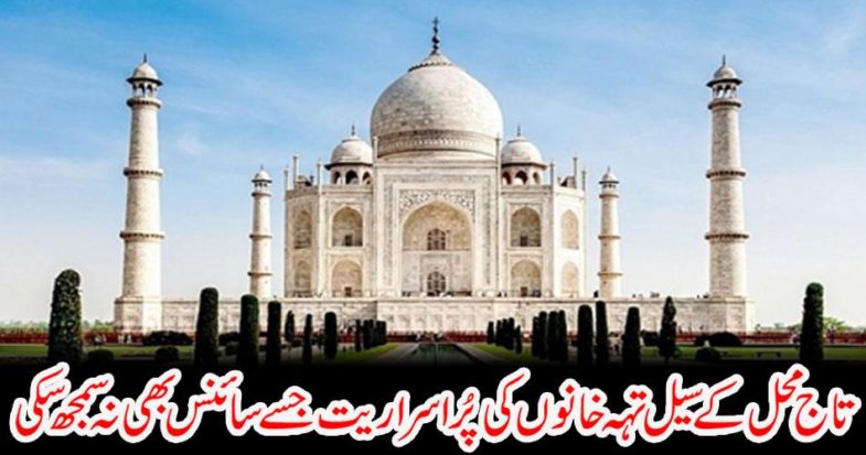 The procession of cell palaces of Taj Mahal which science could not understand