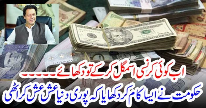 The government did the same thing that the whole world was destroyed