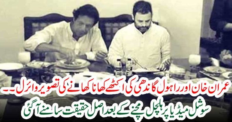 After realizing the social media, the real facts came to light