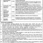 Women University Multan Jobs 2019 for Stenographer & Lab Staff