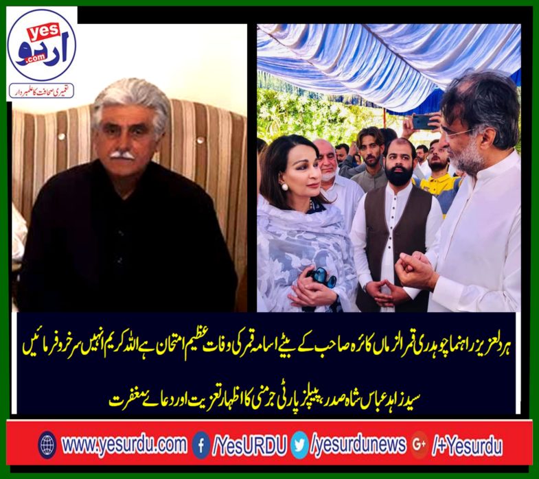 zahid abbas shah, president, ppp, Germany