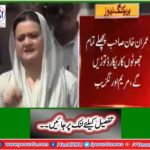 Imran Khan will break record of all the previous lies, Mary Aurangzeb