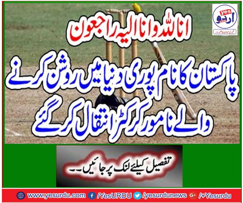 Pakistan's name has passed the famous illuminators in the world