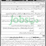 NLC Jobs 2019 For 100+ Toll Plaza & Headquarters Staff In Various Cities (Walk-In Interviews)