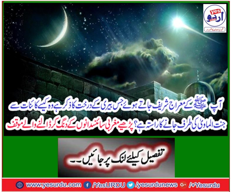 Reading Standards of Scientific Scientists