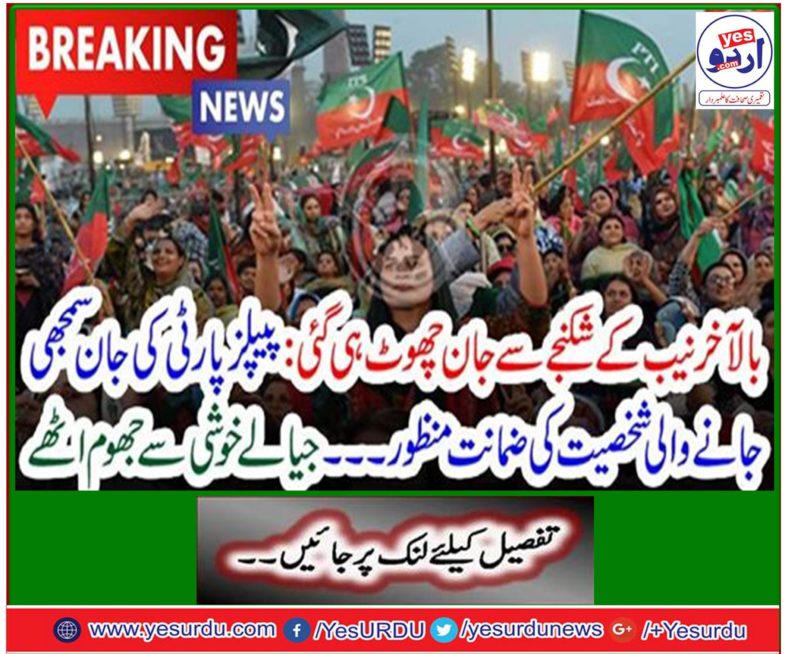 Finally, there was no discontinue from the torture of NAB: Guilty of personality of understanding of PPP's life ... I am glad to be happy