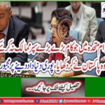 Pakistan did everything that could not be done in the United Nations without super-major countries, forced to govern the whole world
