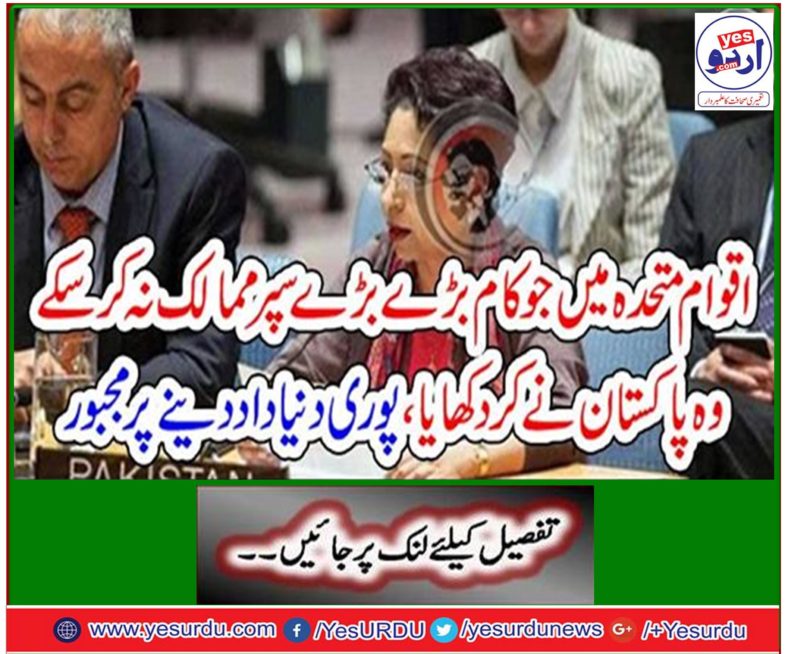 Pakistan did everything that could not be done in the United Nations without super-major countries, forced to govern the whole world