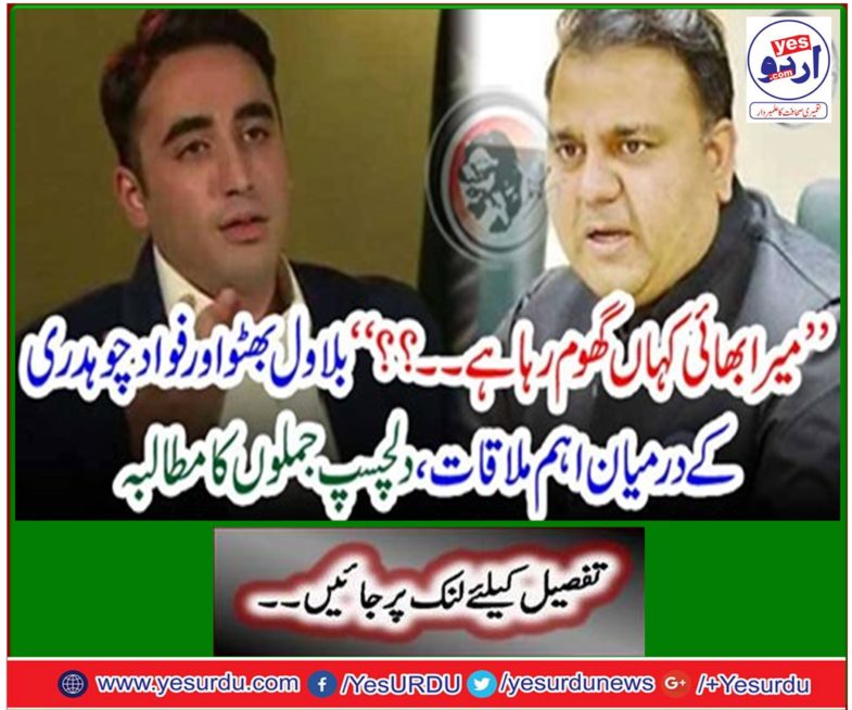 "Where is my brother roaming ... ??" The main meeting between Bilawal Bhutto and Fawad Chaudhary, demanding interesting sentences