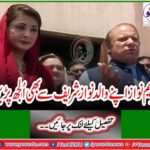 Mary Nawaz also got rid of her father Nawaz Sharif