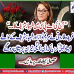 "Today's APC's Shahbaz Sharif ..." Farid Farooqui claims to be the reference to Mary Nawaz and Shahbaz Sharif that (N) Legi was worried about being surprised.