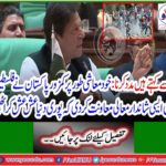 It says it to help: Self-economic Pakistan has helped a great deal of Palestinians that the whole world wrecked